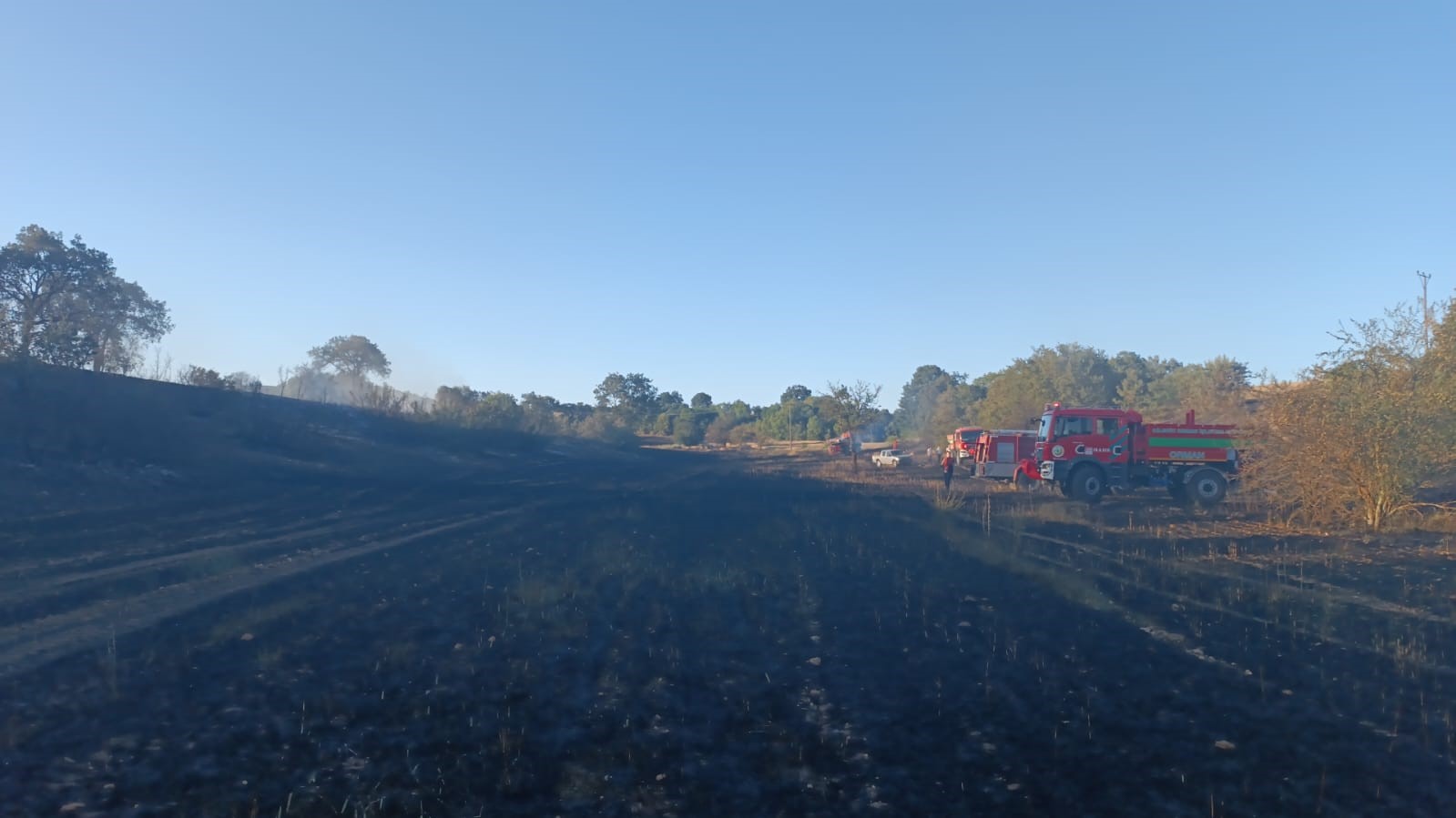 Bilecik’te çıkan yangında 130 dönüm buğday ekili alan zarar gördü