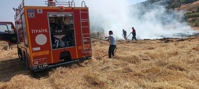 Mardin'de ekili 100 dönüm arpa ve buğday yandı