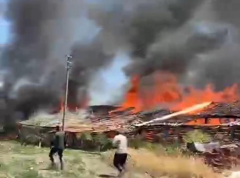 Ankara'da ahır yangını; 12 büyükbaş öldü