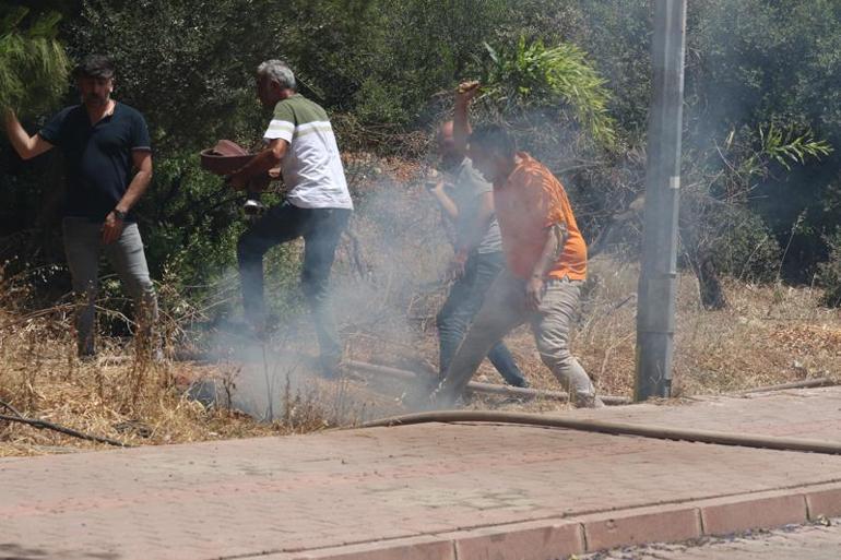 Antalya'da iki ayrı noktada yangın