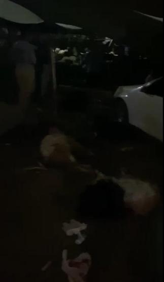 Mersin'de otomobil hayvan pazarına girdi: 2'si ağır 8 yaralı, 7 kurbanlık öldü