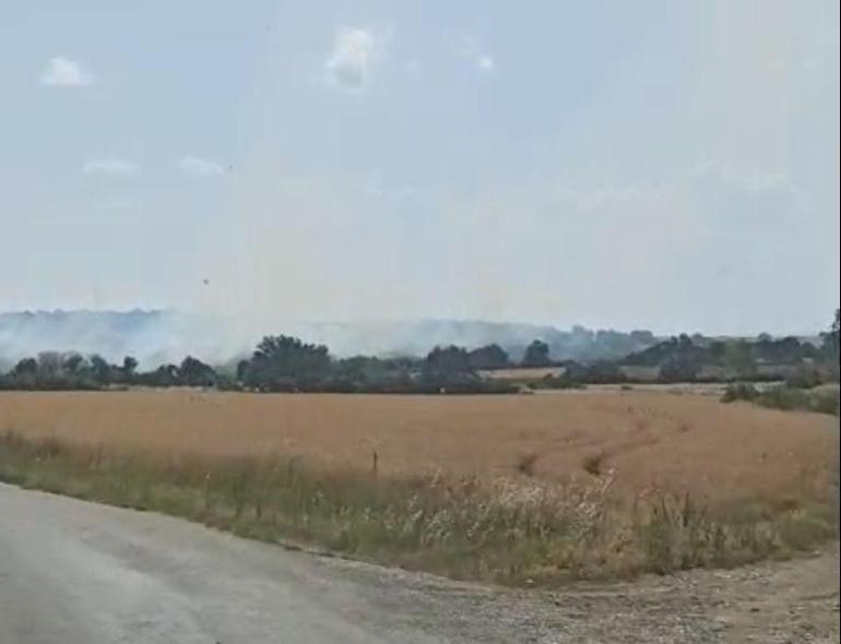 Edirne'de yangın; 90 dekar tarım ve mera alanı zarar gördü