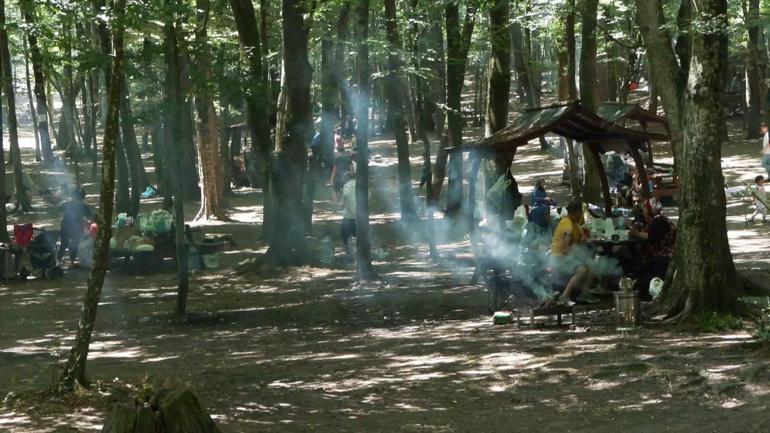 Kurban Bayramı'nda İstanbul'da kalanlar piknik alanlarına akın etti
