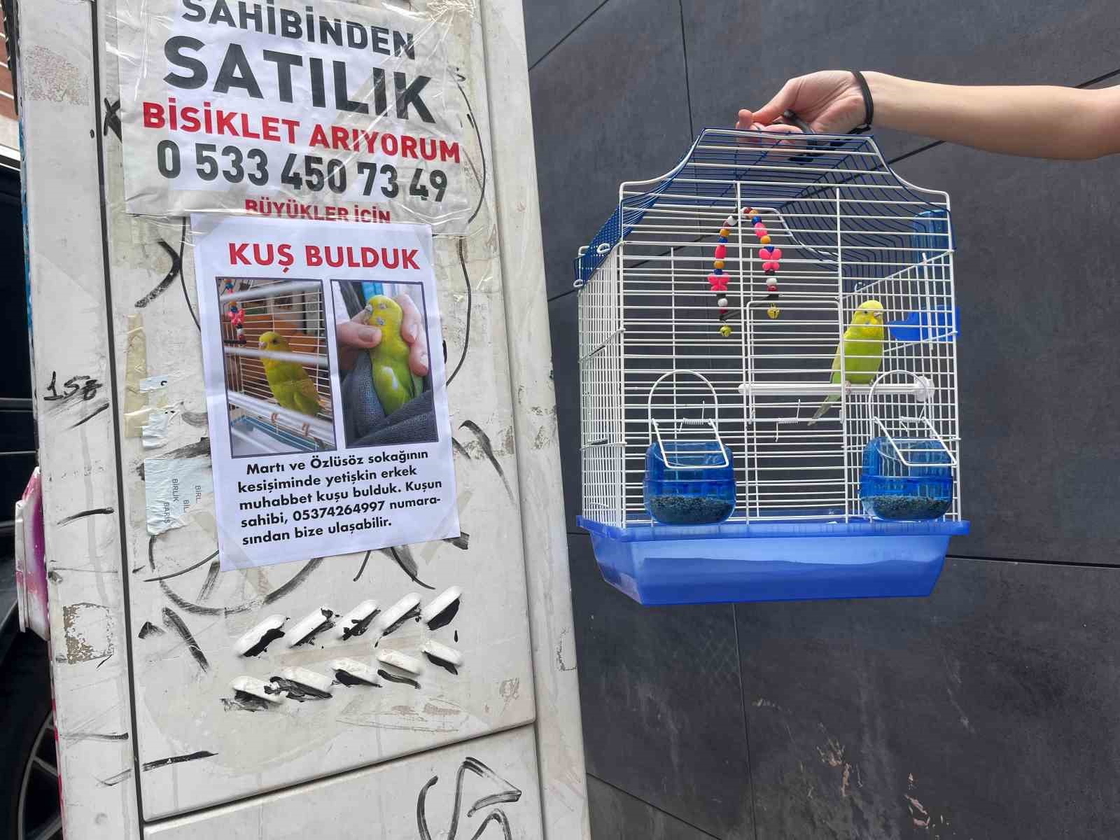 Sokakta bulduğu kuşun sahibini harçlıklarıyla bastırdığı ilanları asarak arıyor