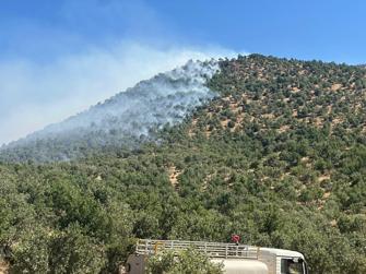 Balıkesir'de arazide çıkan yangın ormana sıçradı