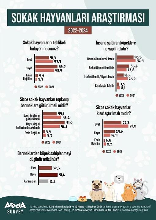 Araştırma: Türk halkının yüzde 47,9’u sokak hayvanlarını tehlikeli buluyor