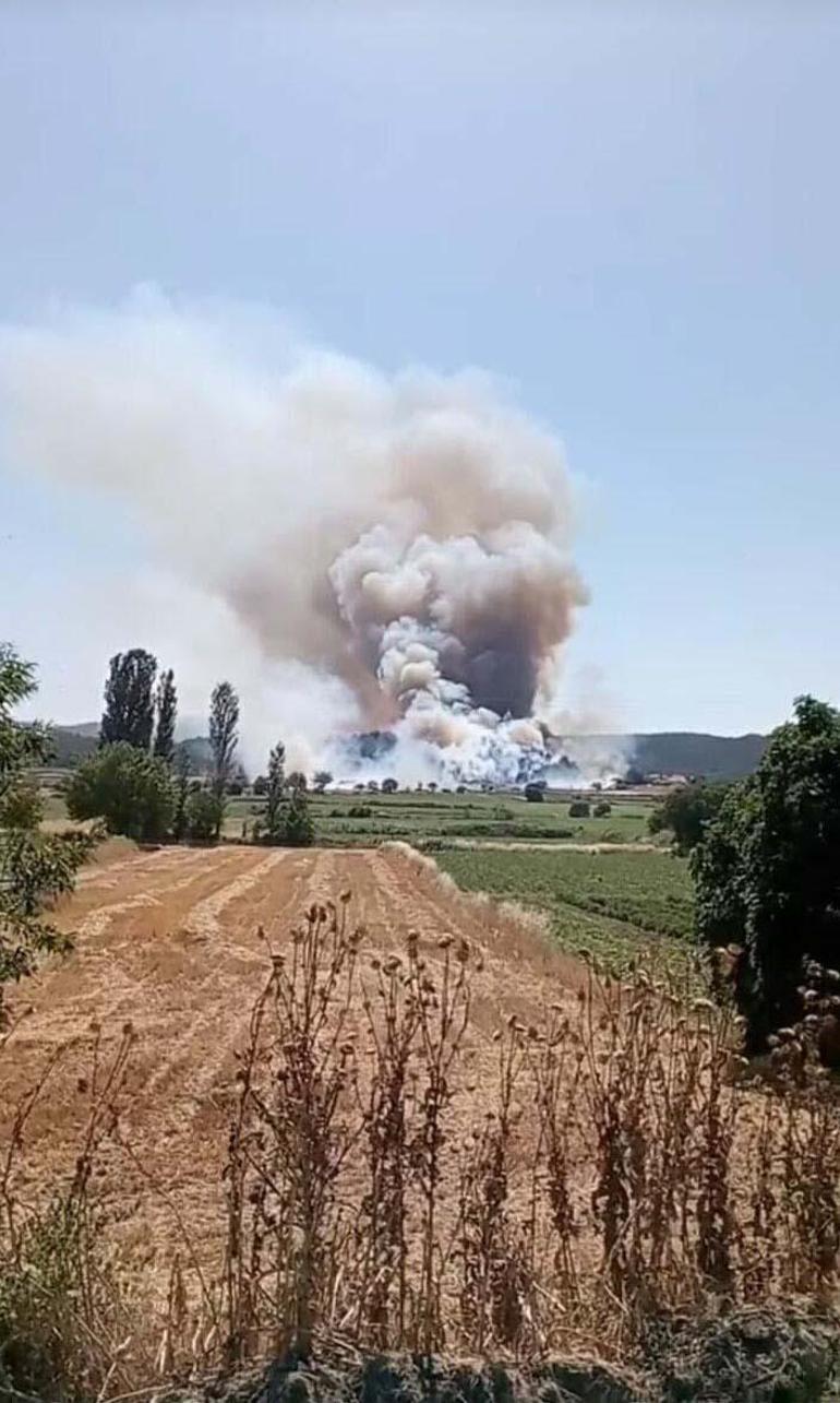 Bakan Yumaklı: Çanakkale'de yangından etkilenen alanın yaklaşık 575 hektar olduğunu tahmin ediyoruz