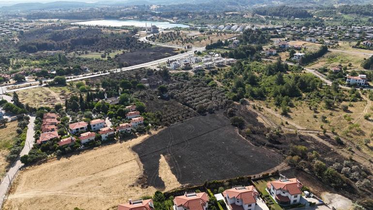 İzmir'deki yangın 4 saatte kontrol altına alındı, 15 hektar zeytinlik zarar gördü