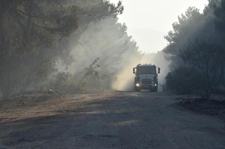 Buca'da başlayıp Gaziemir'e de sıçrayan orman yangını 2'nci gününde