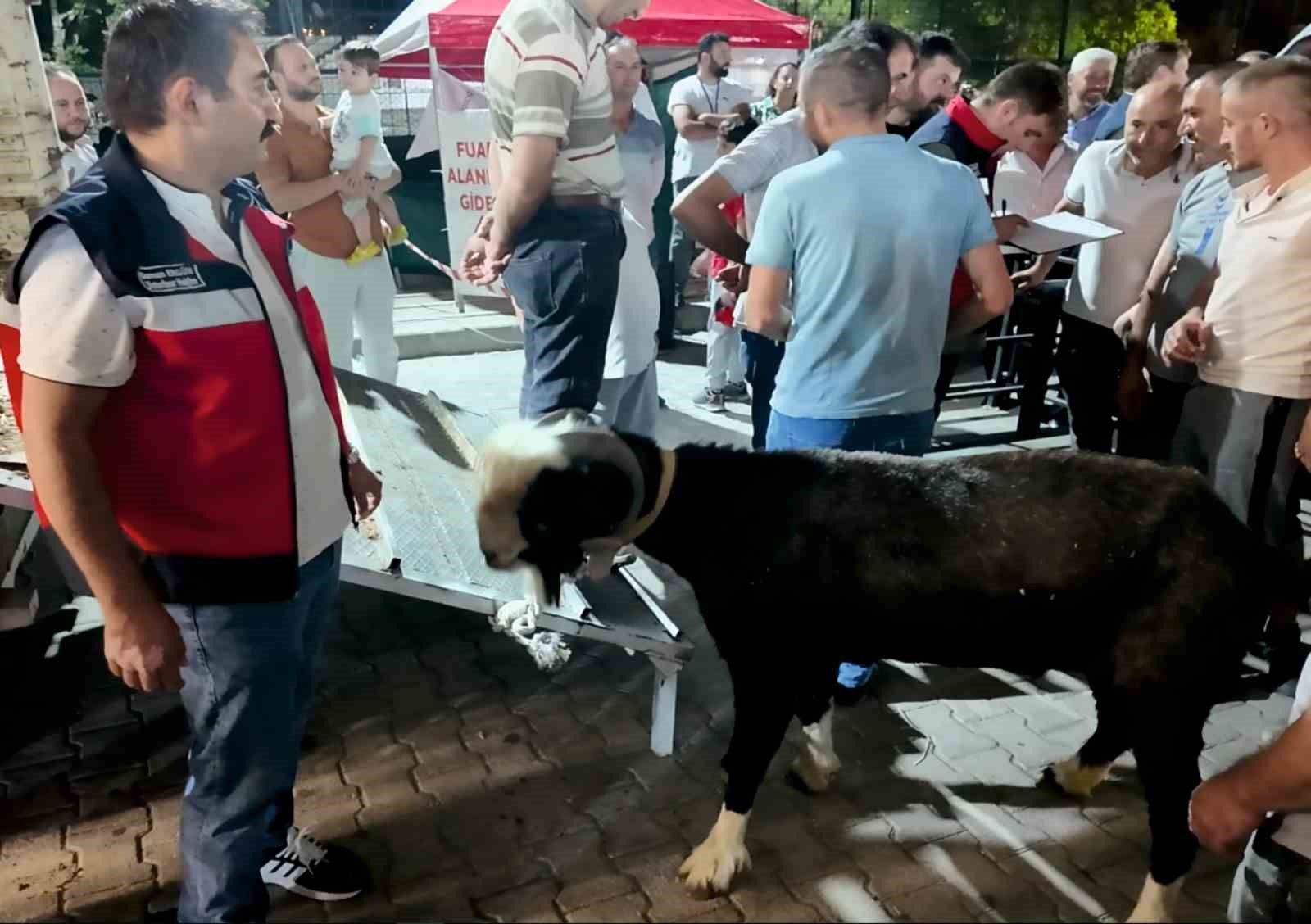 Hayvan Ağırlık Tahmin Yarışmasında ödüller sahiplerini buldu