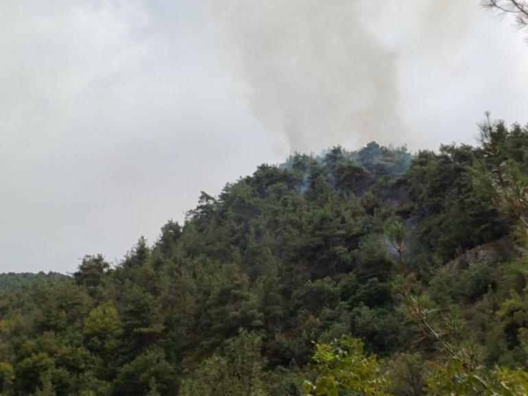 Karabük’te yıldırım düşen ormanda örtü yangını çıktı