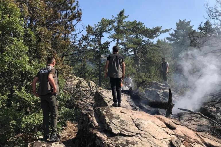 Bolu'da yıldırım düşen ormanda yangın çıktı