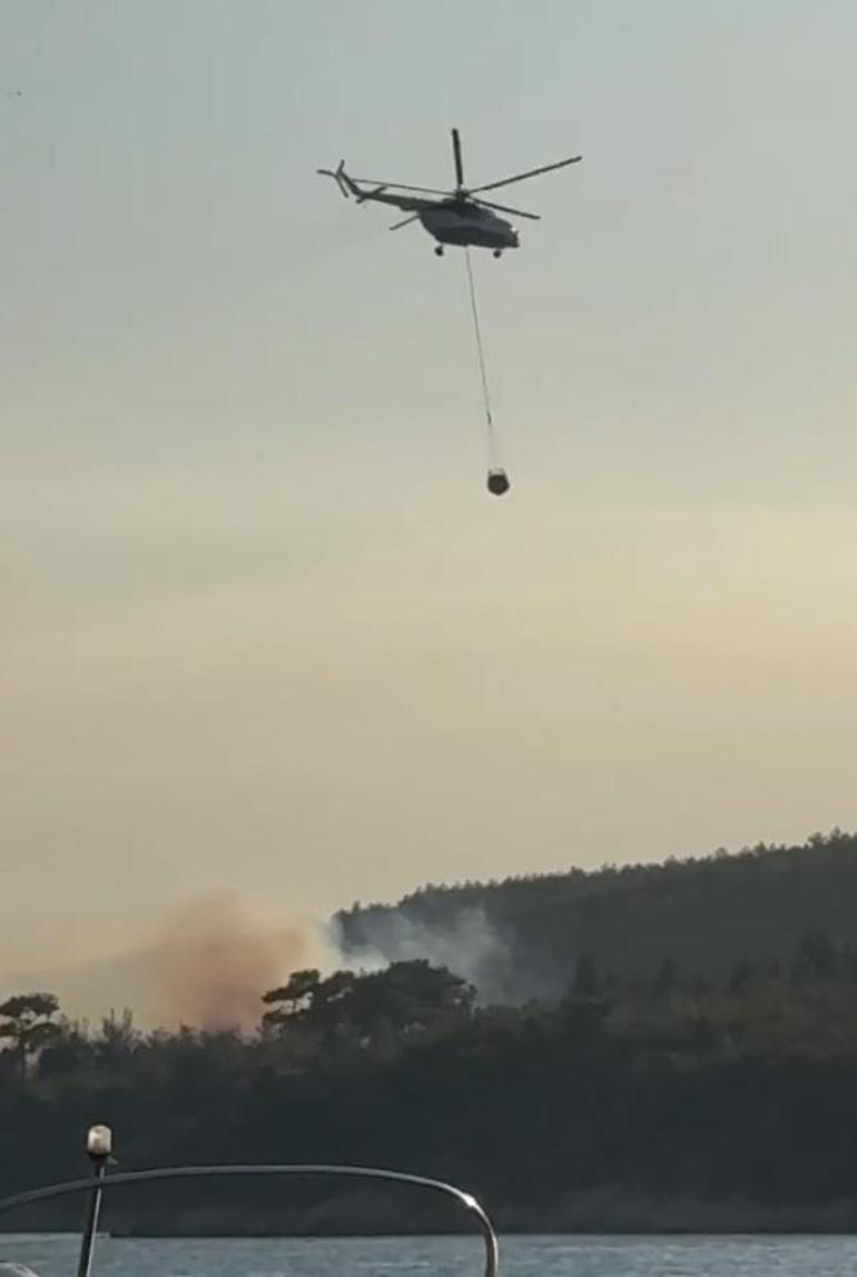 Keşan'da orman yangını