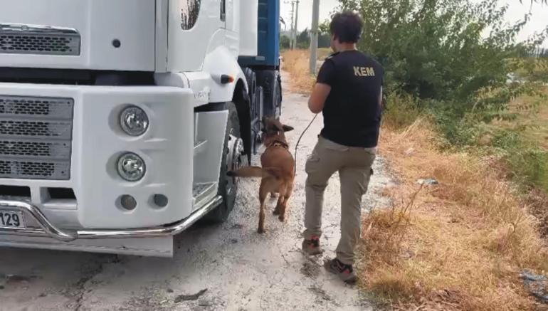 TIR dorsesine yüklü iş makinesine gizlenmiş 77 kilo skunk ele geçirildi