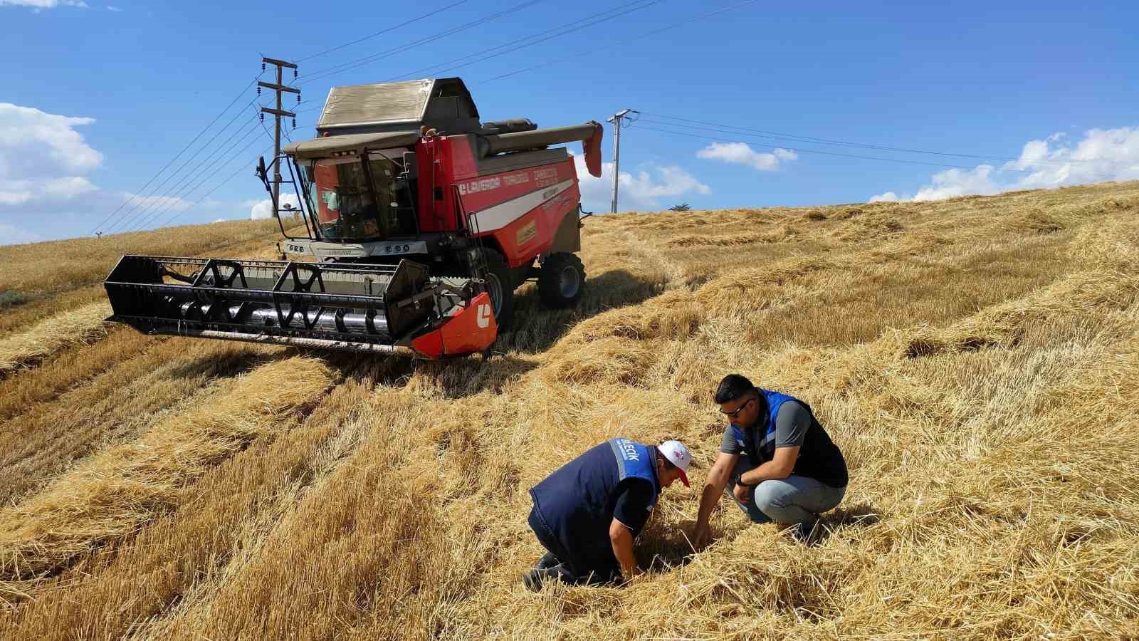 Bozüyük’te biçerdöver denetimi ve hasat yapılan hububat tarlalarında kontroller