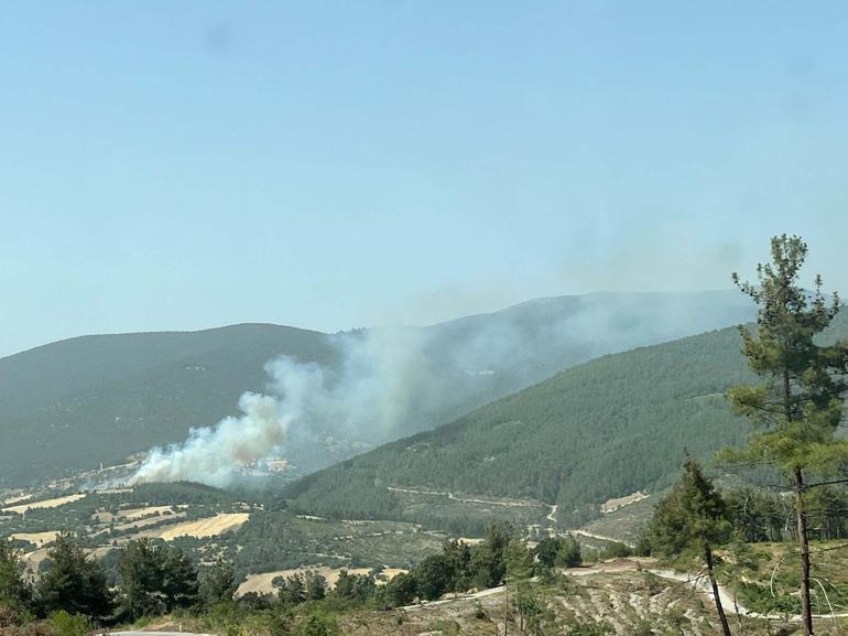 Balıkesir'de orman yangını