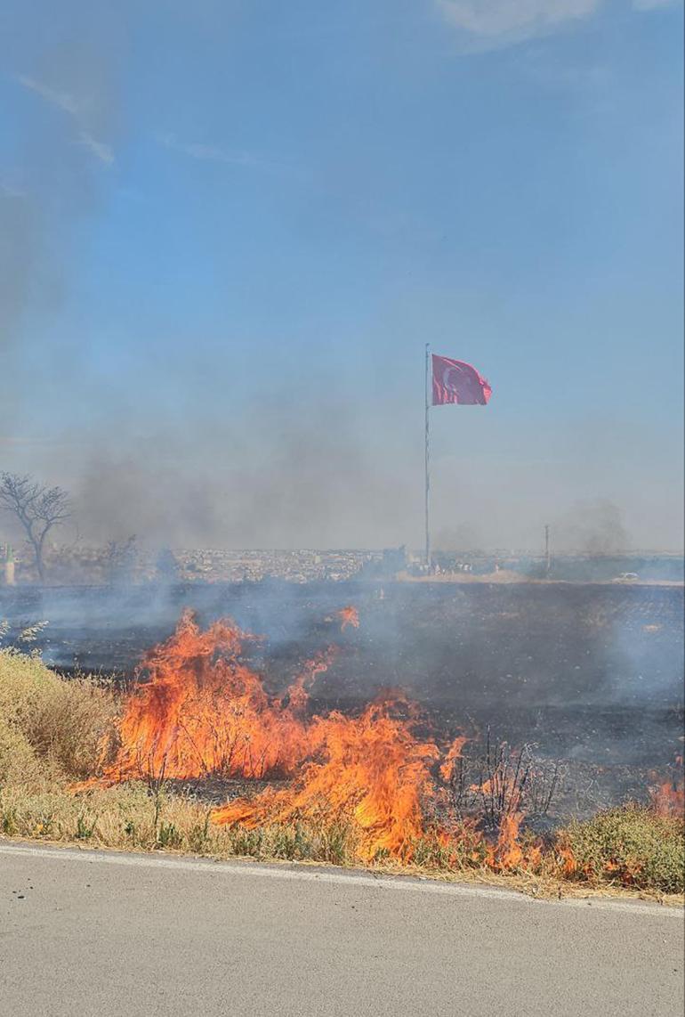 Edirne'de anız yangını ağıla sıçradı