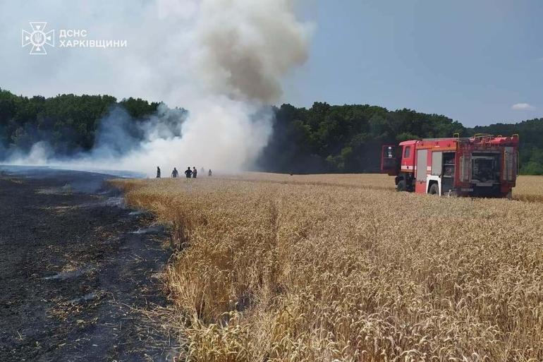 Ukrayna’da 24 saatte 343 orman ve çalı yangını çıktı