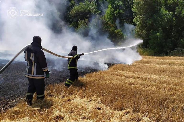 Ukrayna’da 24 saatte 343 orman ve çalı yangını çıktı