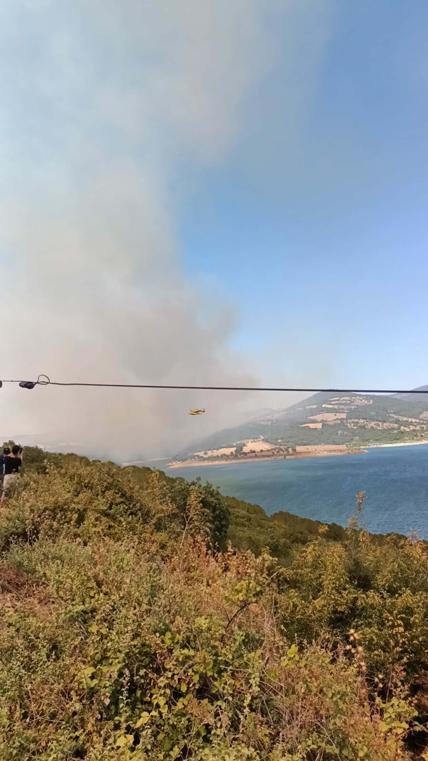 Çanakkale'de orman yangını