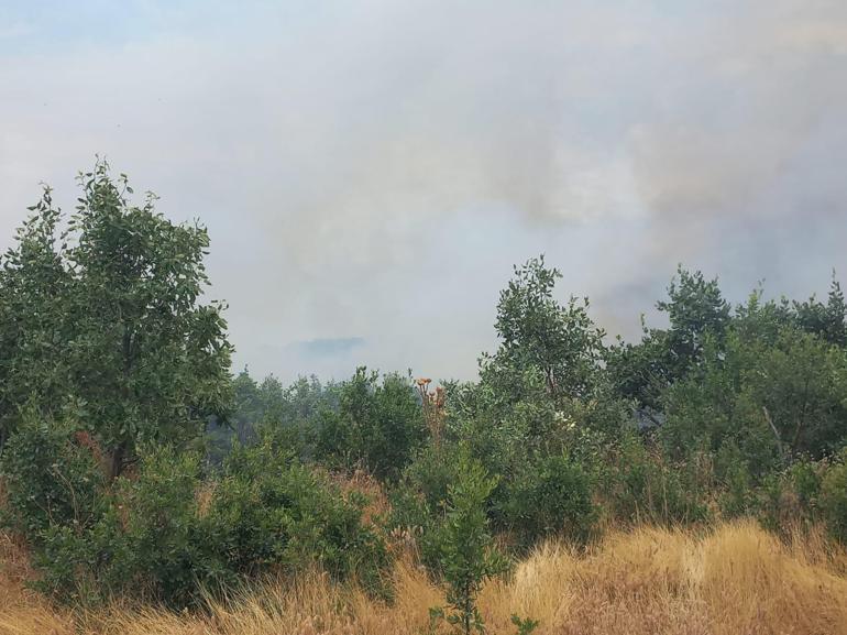 Diyarbakır'da örtü yangını