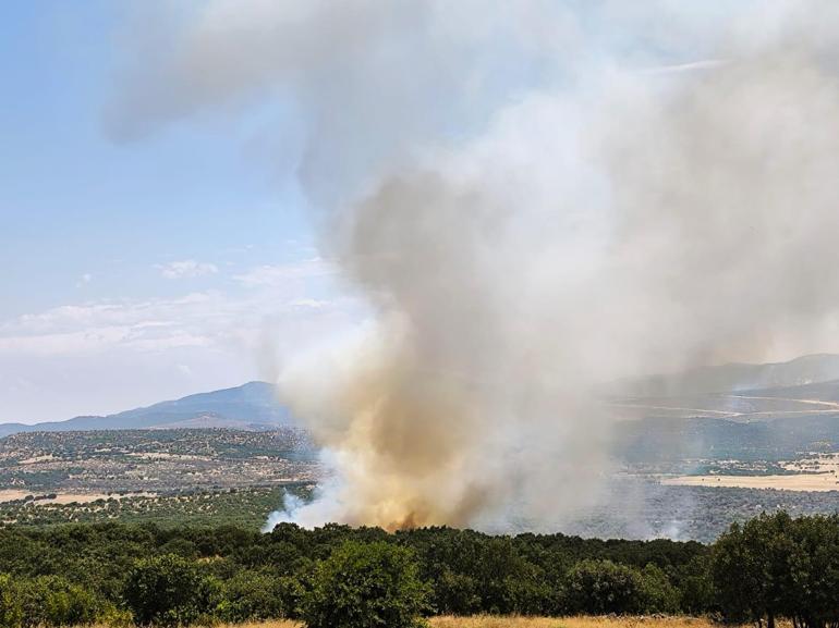 Diyarbakır'da örtü yangını