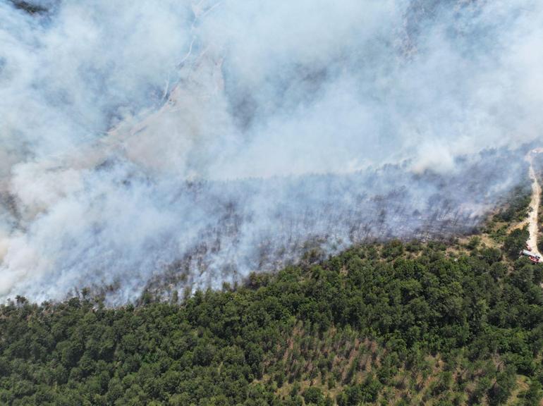 Karabük'te ormana yıldırım düştü, yangın çıktı