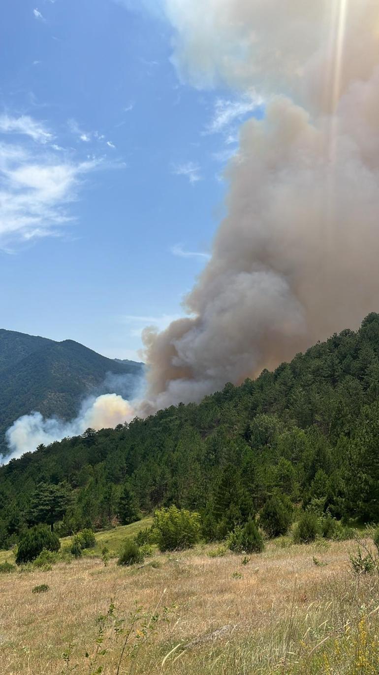 Karabük'te ormana yıldırım düştü, yangın çıktı