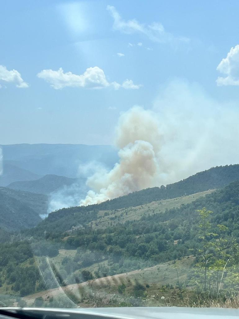 Karabük'te ormana yıldırım düştü, yangın çıktı