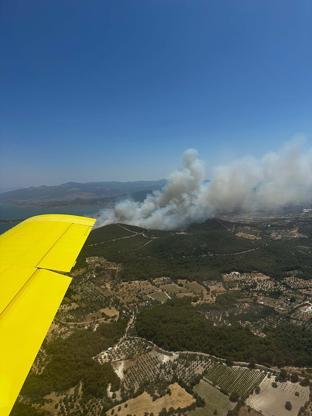 Urla’da yine orman yangını çıktı