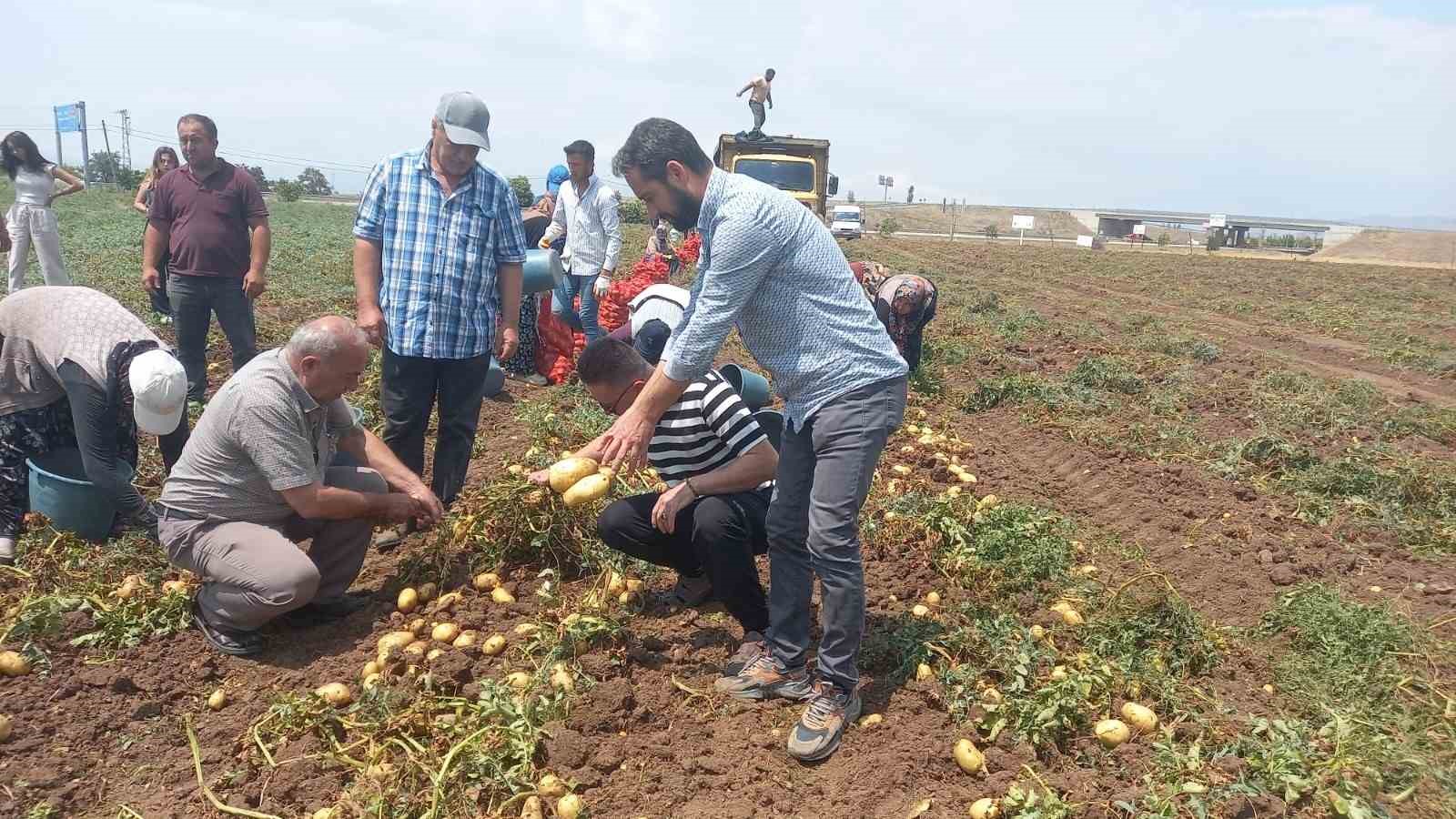 Sandıklı’da 40 bin dekar alanın üzerinde ekimi yapılan patates hasatı başladı