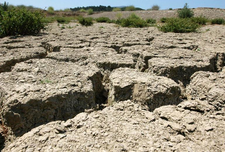 'İzmir'de toprak kurudu, en küçük kıvılcımda çıra gibi tutuşuyor'