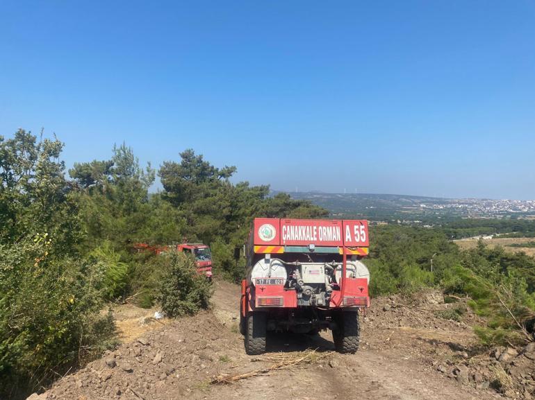 Çanakkale Ayvacık'taki orman yangını 2'nci gününde