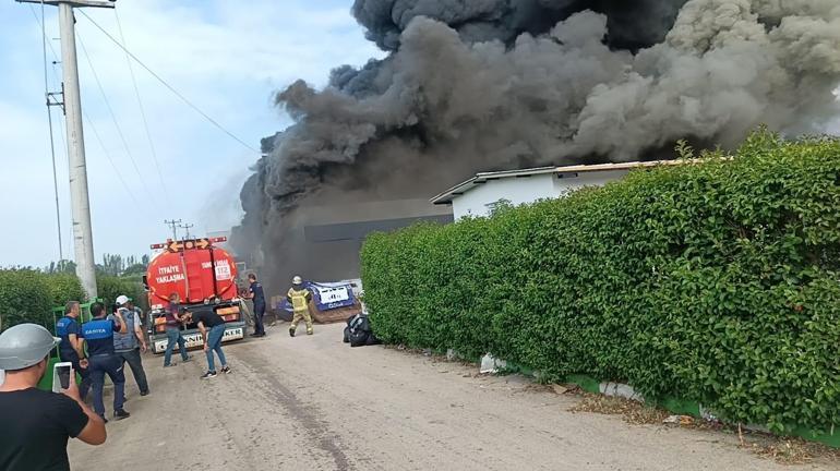 İznik’te soğuk hava deposunda yangın