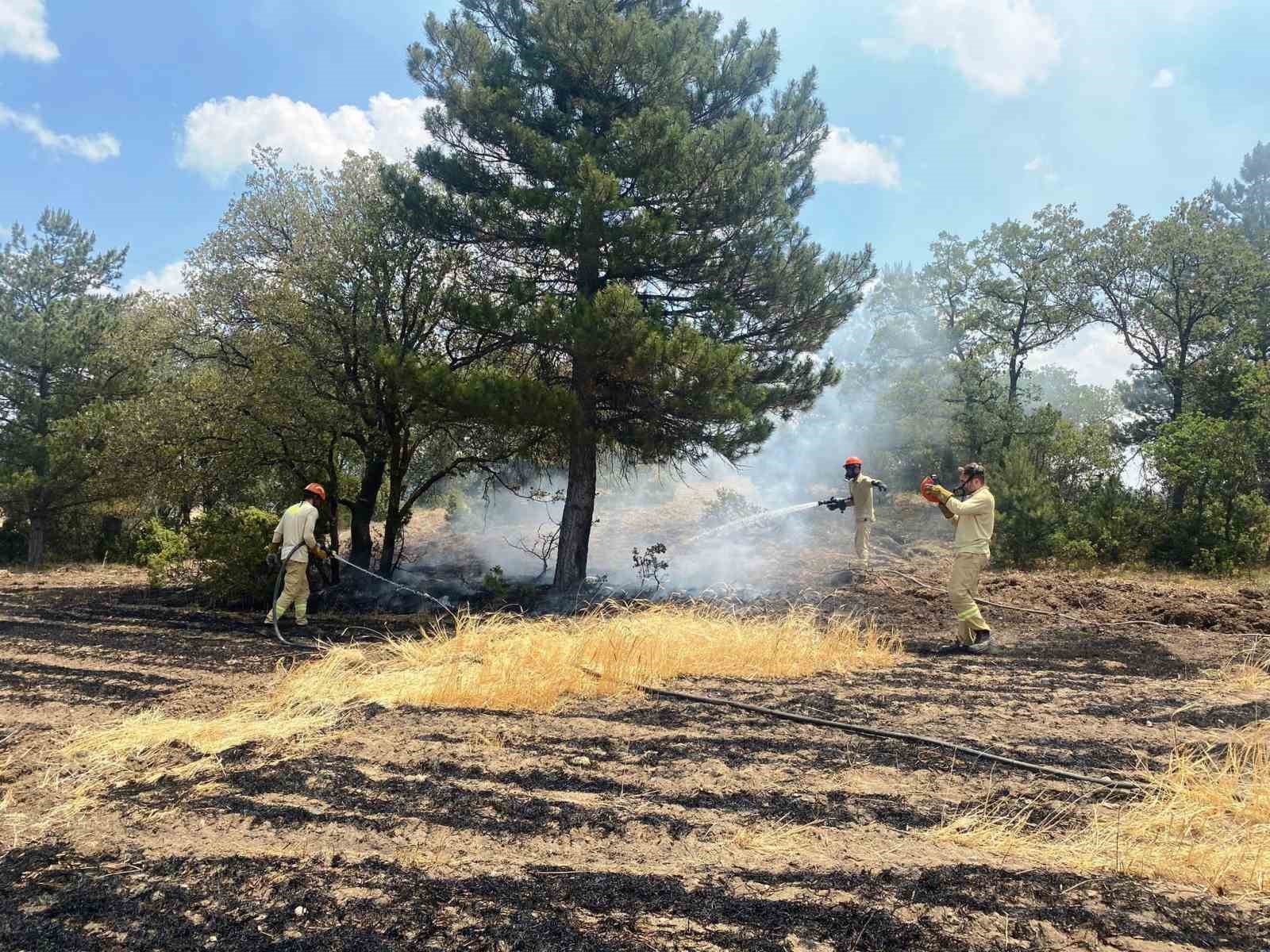 Kütahya’da demir yolu hattında anız yangını