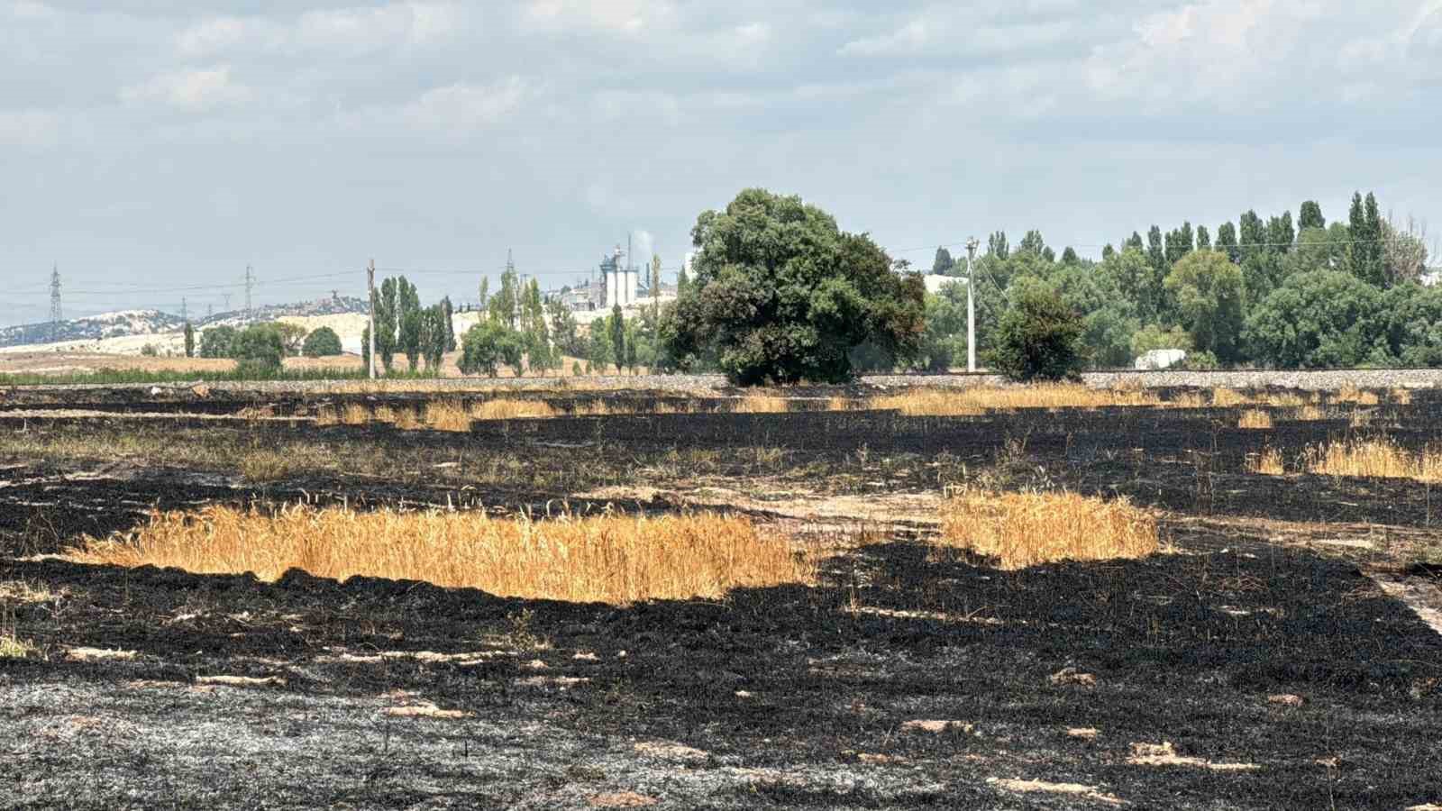 Kütahya’da demir yolu hattında anız yangını