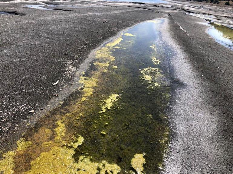 Turkuaz renkli Salda'da kirlilik alarmı; beyaz adacıklar kararıyor