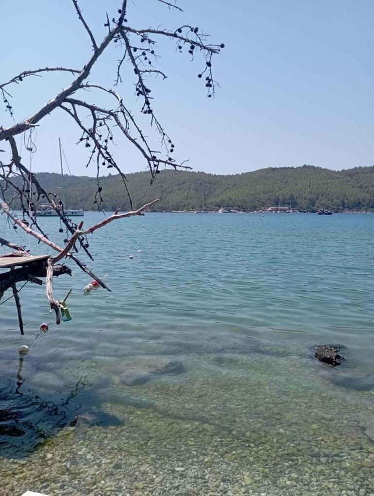 'Dünyaca ünlü koya sintine atığı boşaltıldı' iddiası