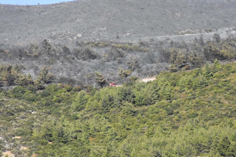 Urla'daki orman yangını 2'nci gününde