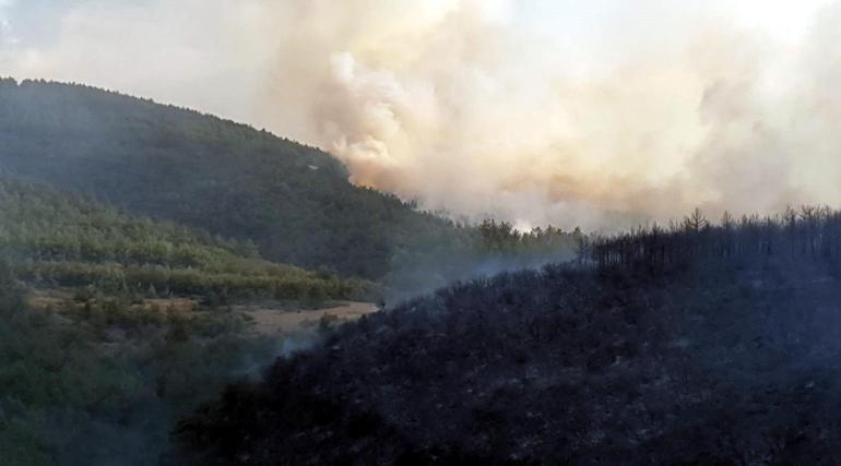 Tokat'ın Erbaa ilçesinde orman yangını