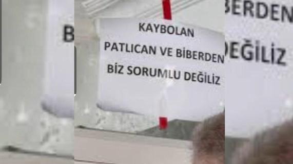 Şanlıurfa'da 'isot ve patlıcanın kaybolması' kavgası kamerada