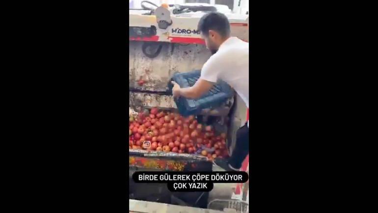 Domatesi çöpe döken işletmeye 123 bin lira ceza ve suç duyurusu