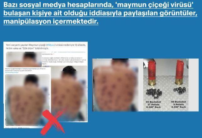 DMM'den 'maymun çiçeği' paylaşımlarına yalanlama