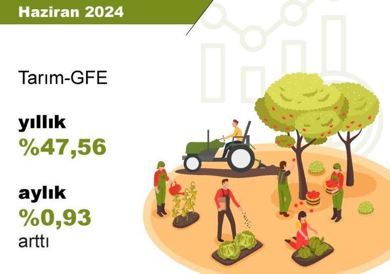 TÜİK: Tarımsal girdi fiyatları yıllık yüzde 47,56 arttı