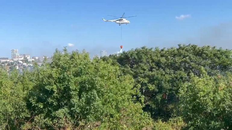 Avcılar’da ağaçlık alanda çıkan yangın nedeniyle tren seferleri durduruldu