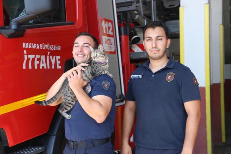 Ankaralı itfaiyeci, deprem enkazından kurtardığı 'Maraş' ile yaşıyor