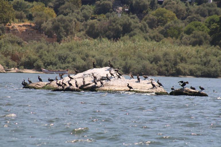 Bafa Gölü'nü jandarma timleri koruyor