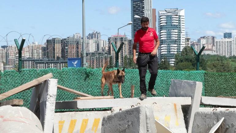 Tokyo, 6 Şubat felaketinde Hatay'da 11 canı kurtardı