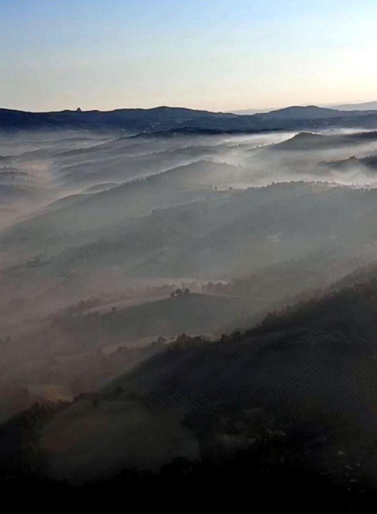 Manisa'daki orman yangınında 4'üncü gün