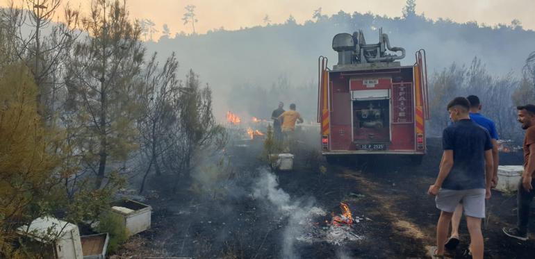 Balıkesir'de yangını müdahale eden ekipler, arılar nedeniyle zor anlar yaşadı